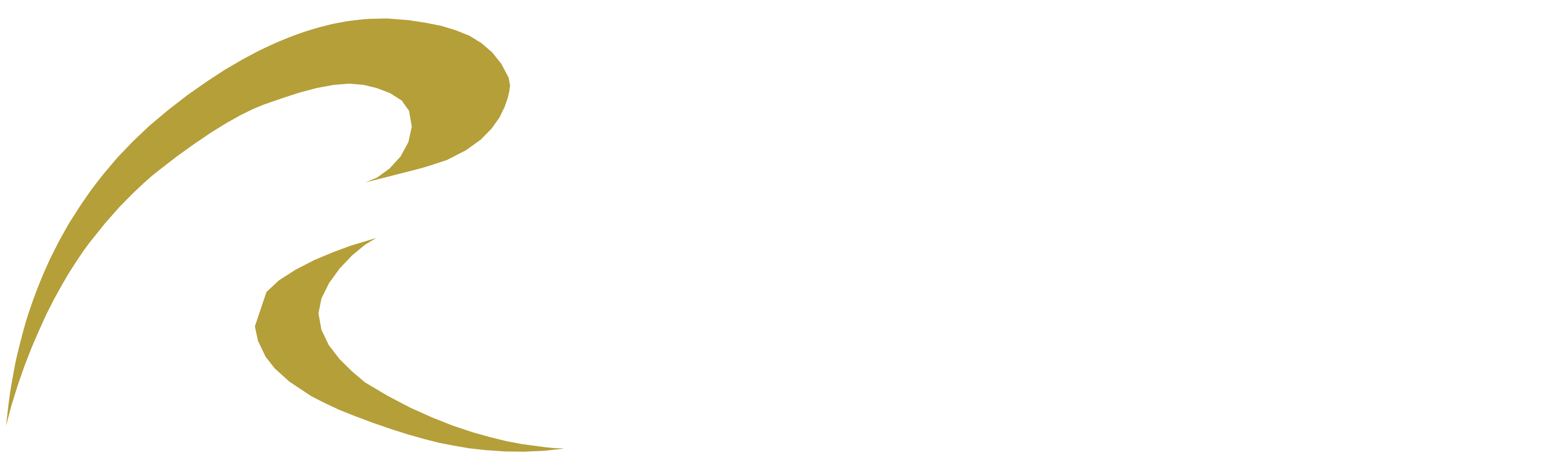 RISPO CONTRACTORS LIMITED Logo